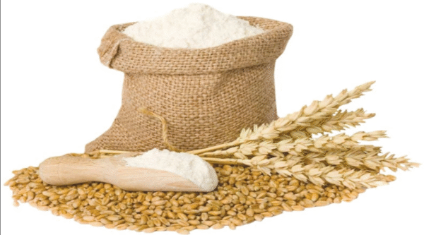 Premium Wheat & Grains, Food Grade